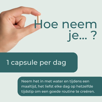 NAC Supplement