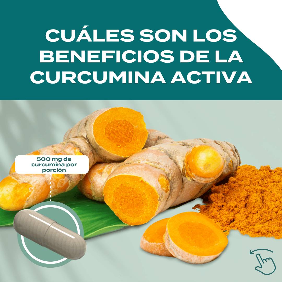 Beneficios de la curcumina activa