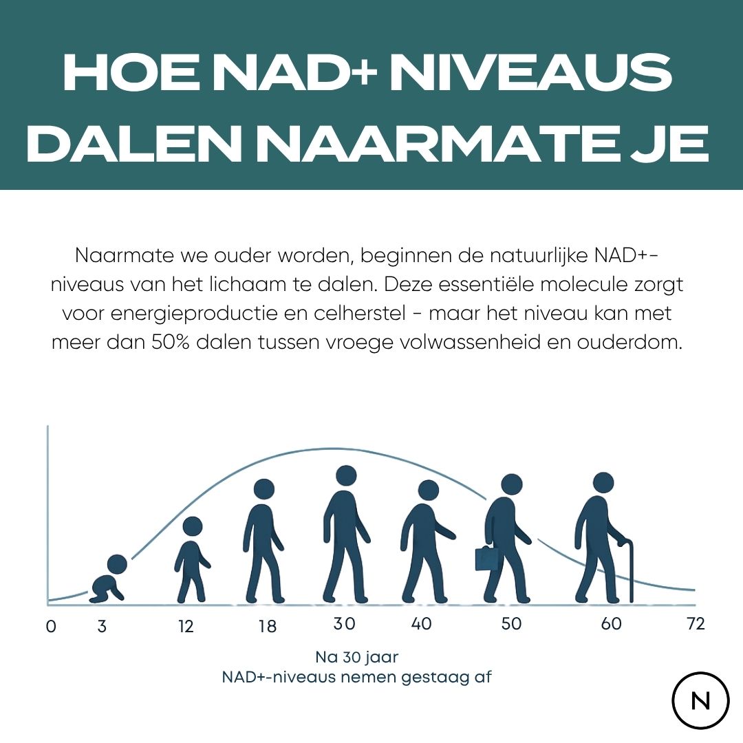 NAD Supplement (NR)