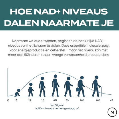 NAD Supplement (NR)