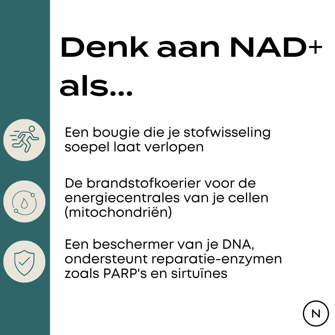 NAD Supplement (NR)