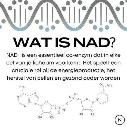 NAD Supplement (NR)