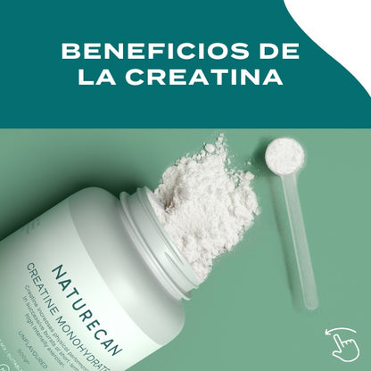 Creatine Monohydraat